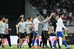 AYX-TheShy赛事官方发布大胜新规，德国队争议不断！的简单介绍