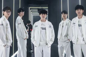 AYX-包含TheShy关键节点惊险取胜，TL带队取胜！的词条